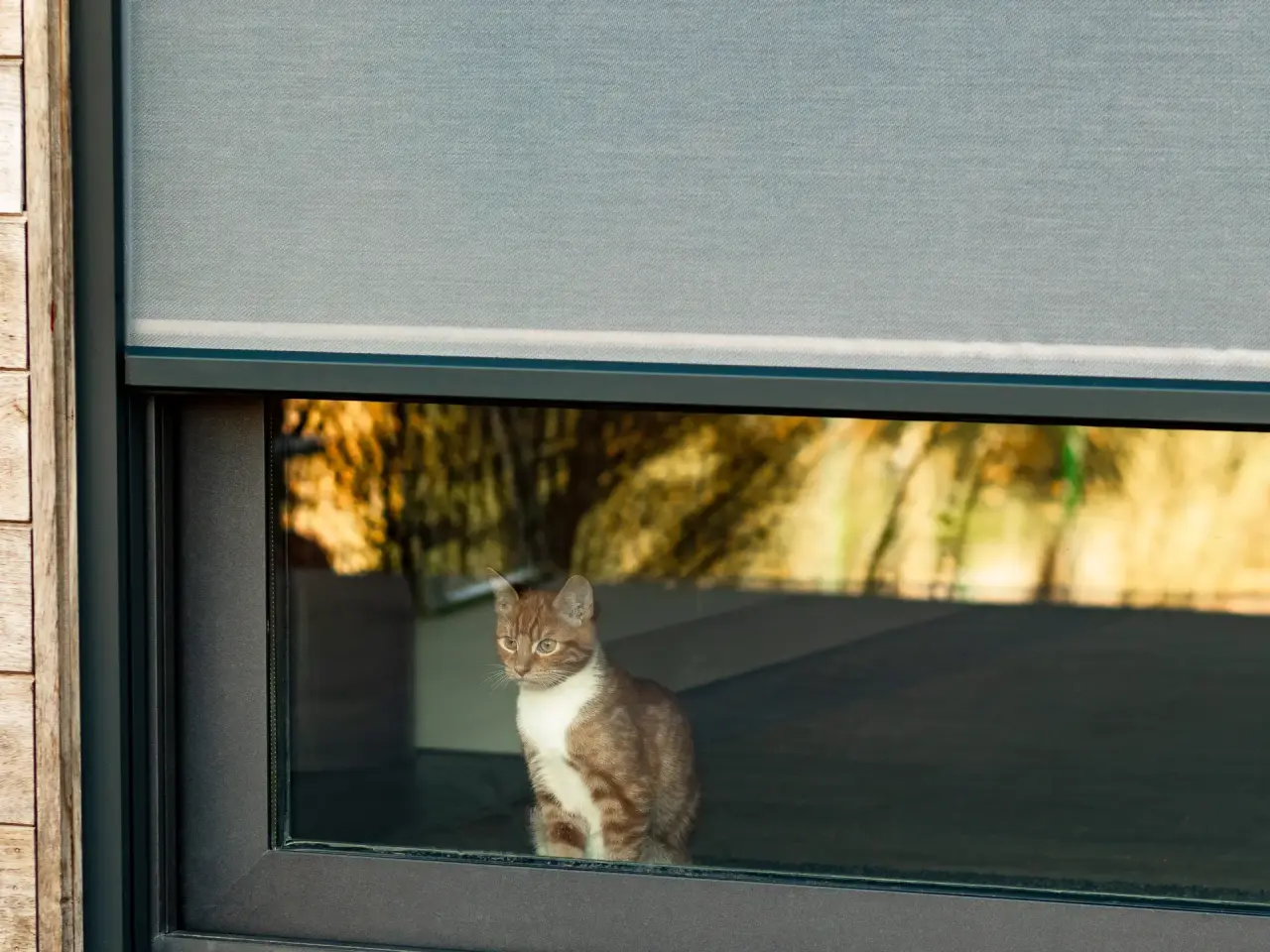 Brustor screen kat